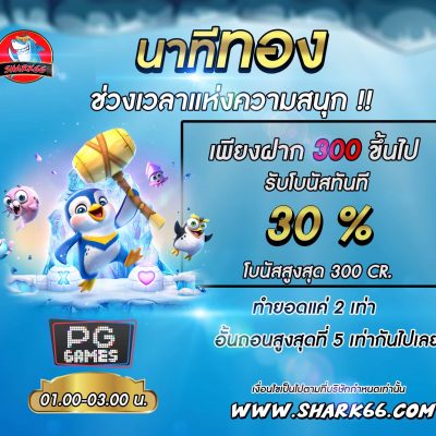 ฝาก 300 รับโบนัส 30% pg slot