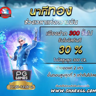 โบนัสฝากถอน pg slot